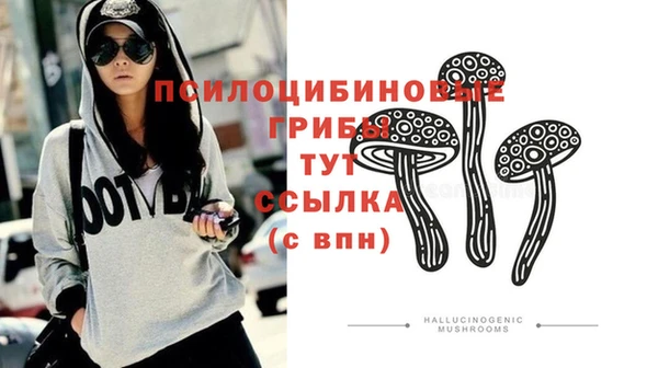 герыч Бронницы